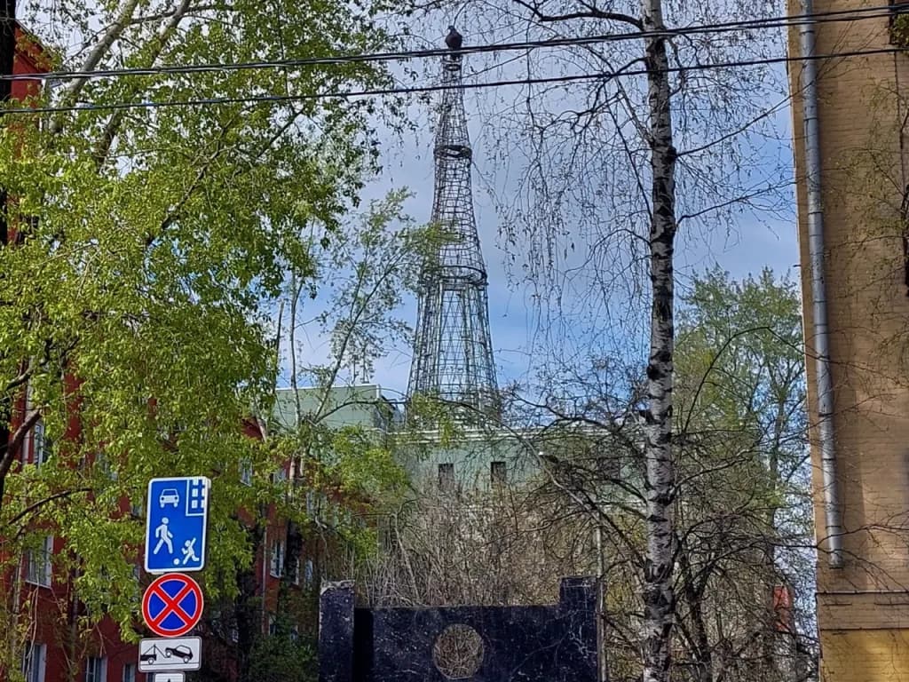 Шуховская башня в просвете между берёзами над крышами домов Шаболовки